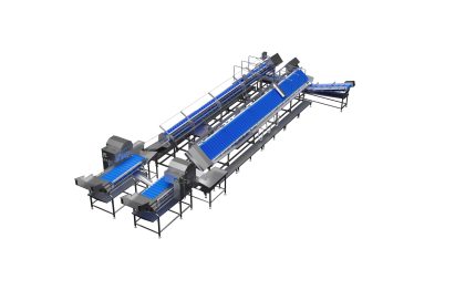İç Organların Çıkarılması Çözümleri