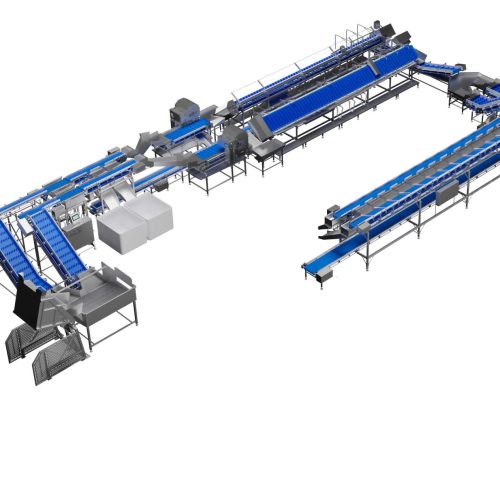 sample salmon processing line